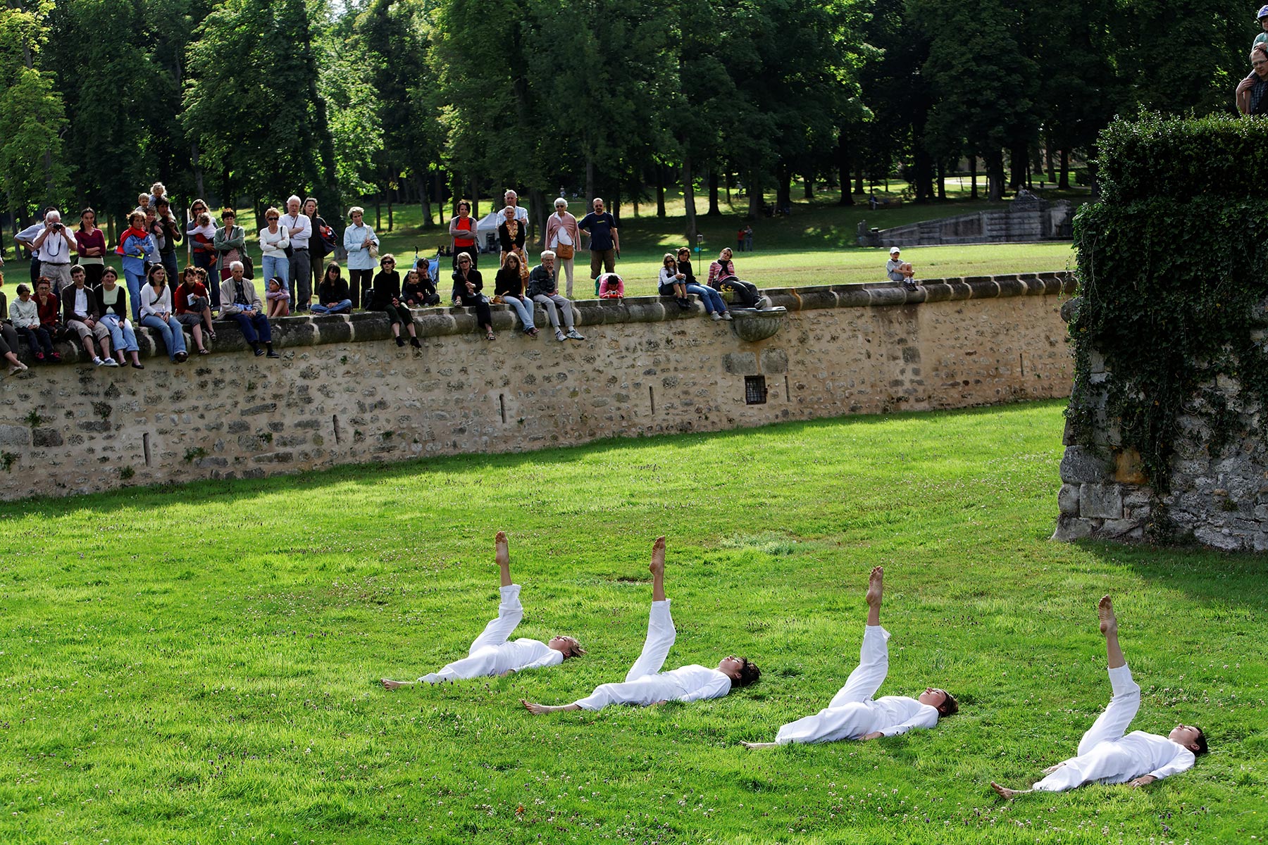 Trisha Brown: In Plain Site