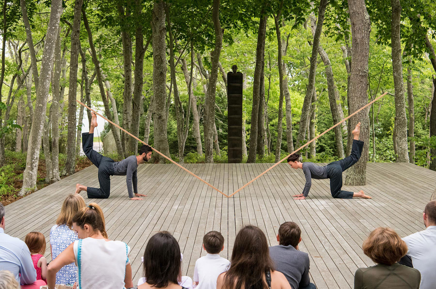 Trisha Brown: In Plain Site